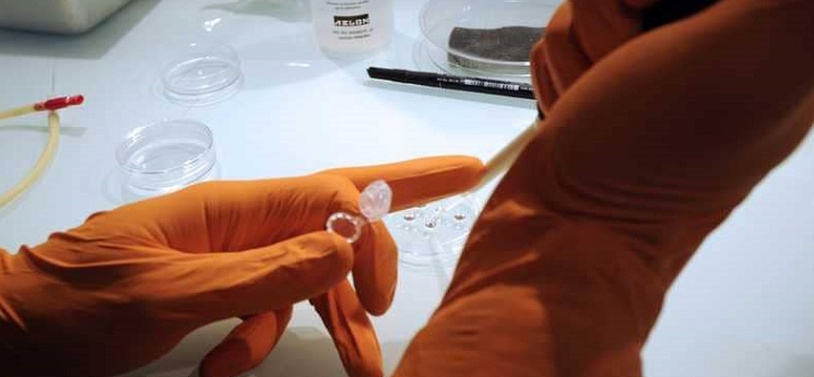 اليابان توافق على تجربة علاج الحبل الشوكي بخلايا جذعية